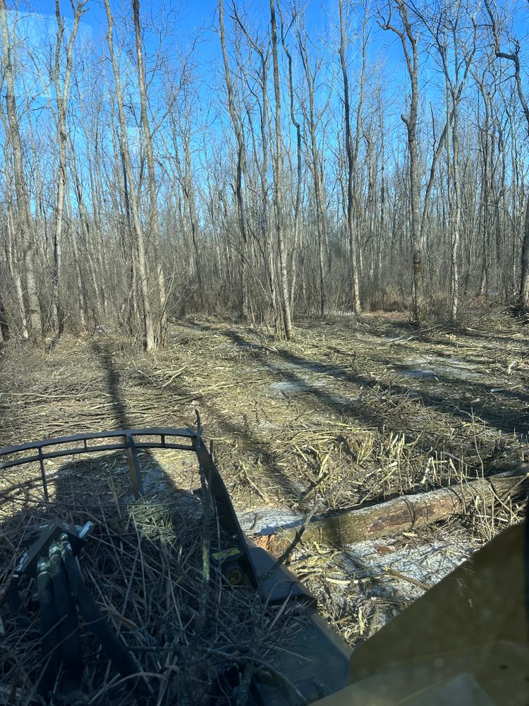 All Photos for B & M Land Management in Green Bay, WI