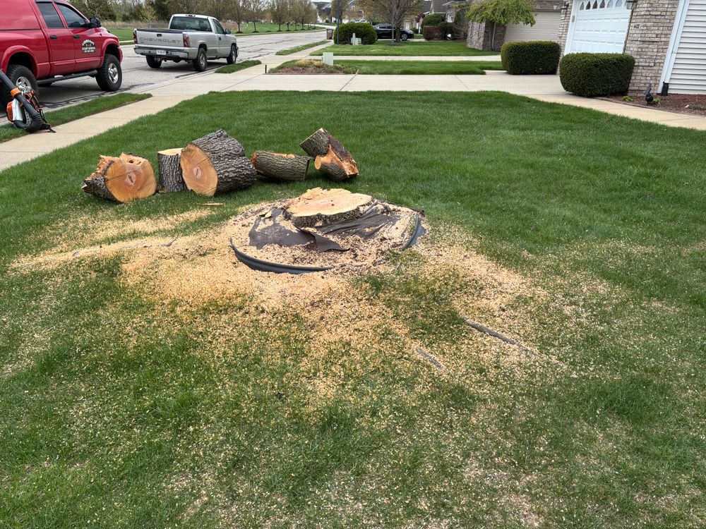 All Photos for Conrad's Stump Removal in Columbus, IN