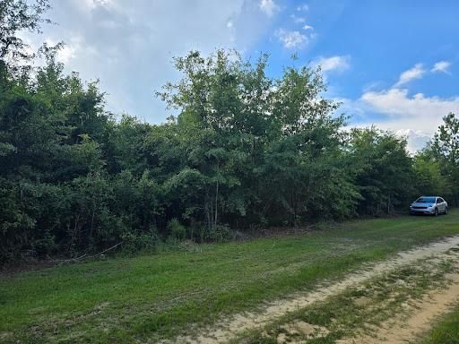 All Photos for Giles Land Management, LLC in Hahira, GA