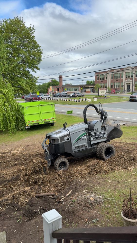 All Photos for Sterlings Tree Removal in Cobleskill, New York