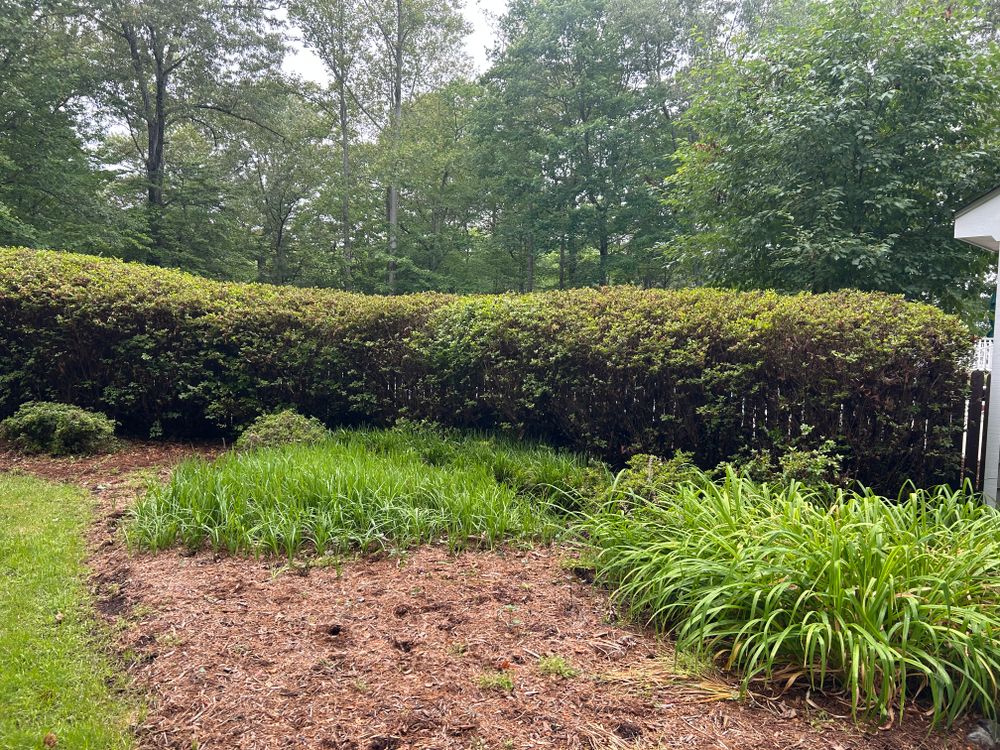 All Photos for The Whole 9 Yards Landscape VA in Heathsville, VA