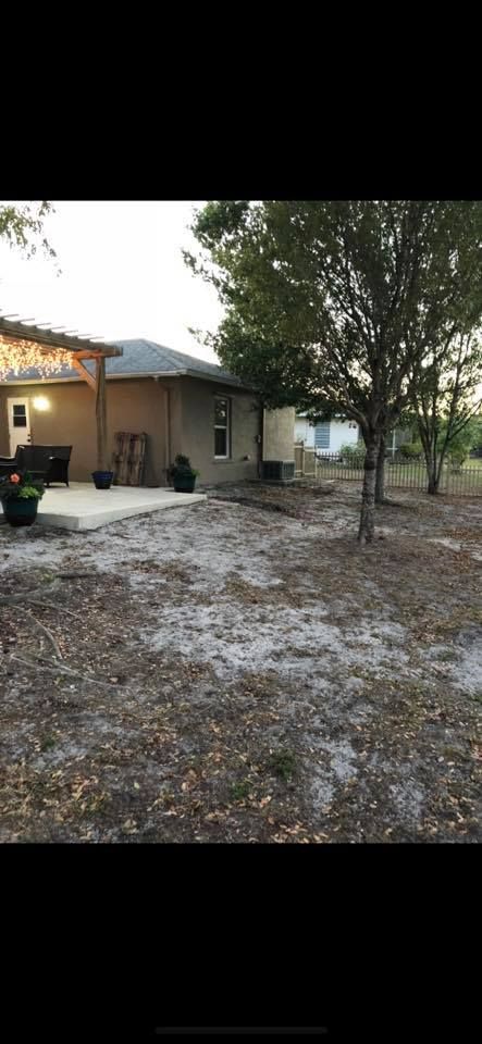 Our expert Tree Removal service ensures your property remains safe and beautiful, complementing our comprehensive snow removal solutions to maintain a pristine landscape throughout every season. for Rize N’ Grind  in Punta Gorda, FL