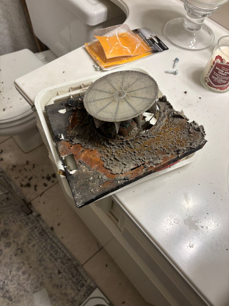 All Photos for Angel1Stop in Orange County, CA