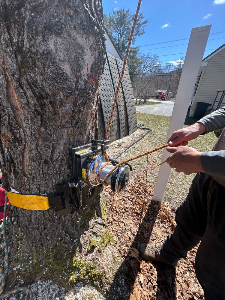 All Photos for Clifford’s Quality Tree Care & Landscaping in Enfield, NH