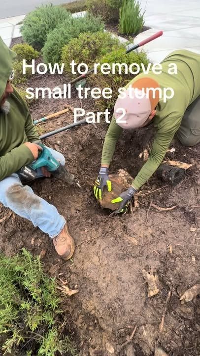 Artificial Turf Installation for Aidan Jade Landscaping in Riverside County, CA