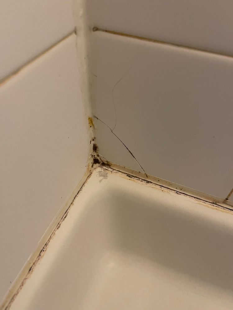 All Photos for Tony's Remodeling & Painting in Renton, WA