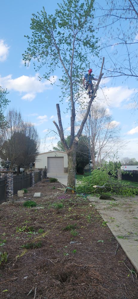 All Photos for Tree Fellers in Sumner County, TN