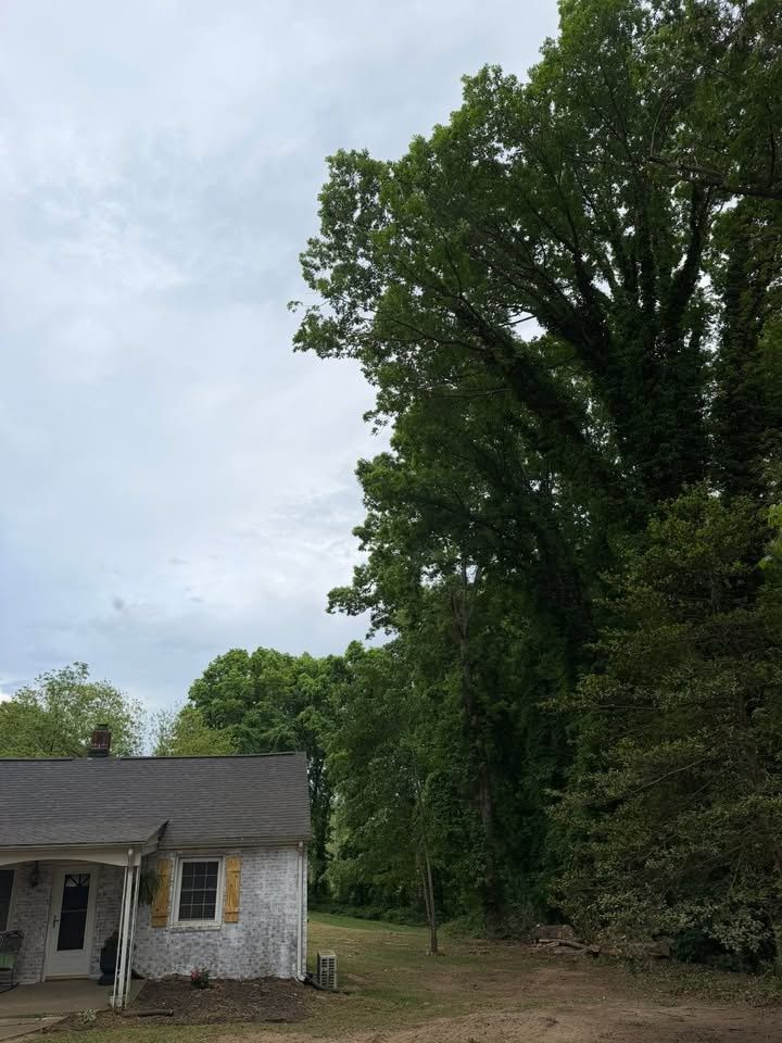 All Photos for Hunt’s Hauling & Landworks LLC in Danville, VA