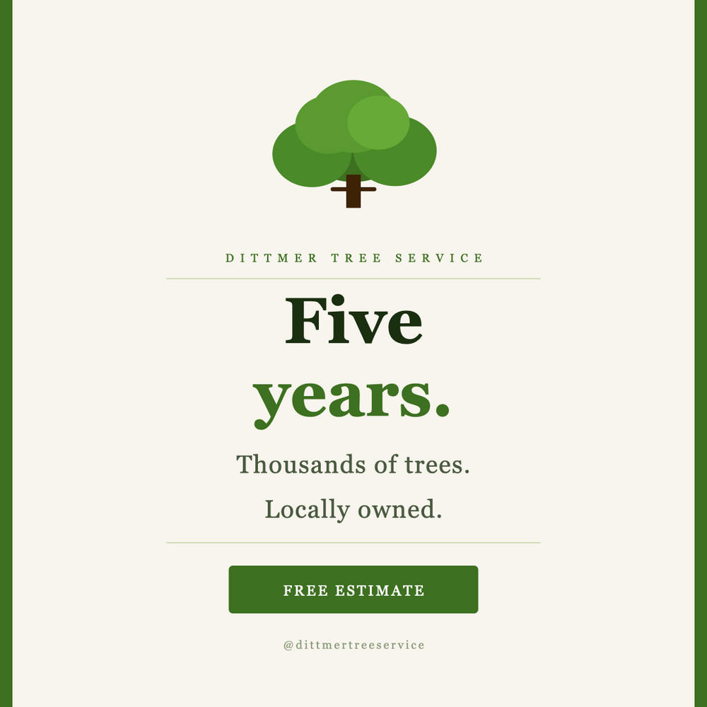All Photos for Dittmer Tree Service in Davenport, IA