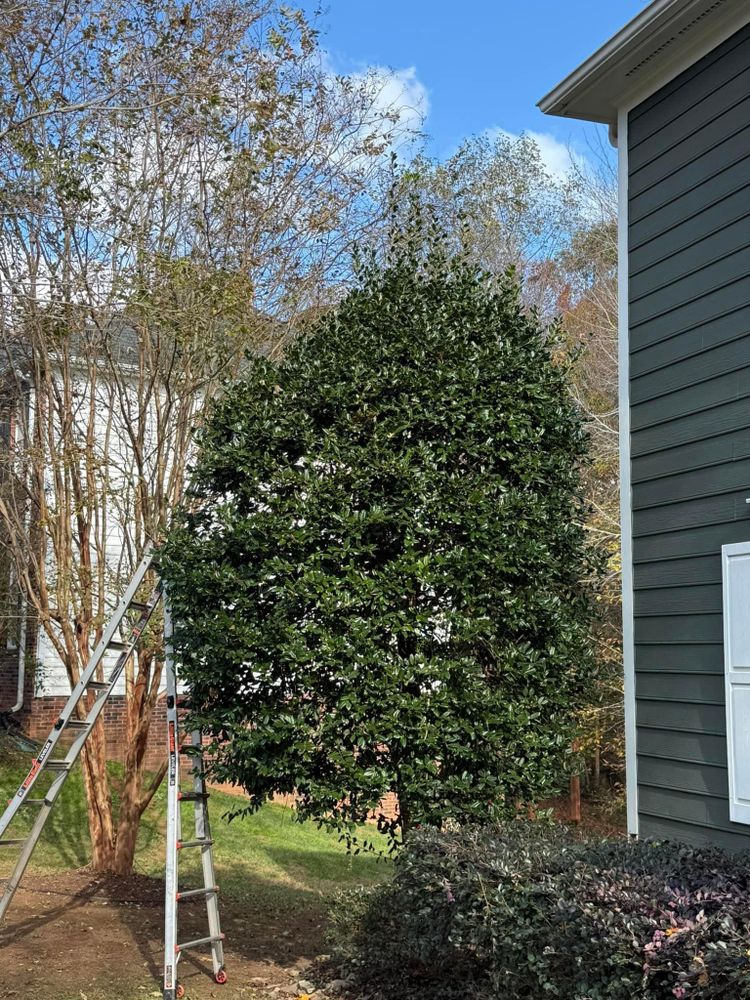 Mulching for America's Top Pick Lawn & Landscaping in Gastonia, NC