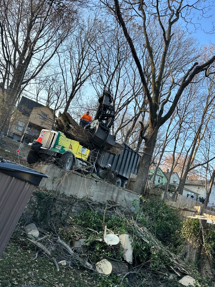 All Photos for Cross Family Tree Service in Kearney, MO