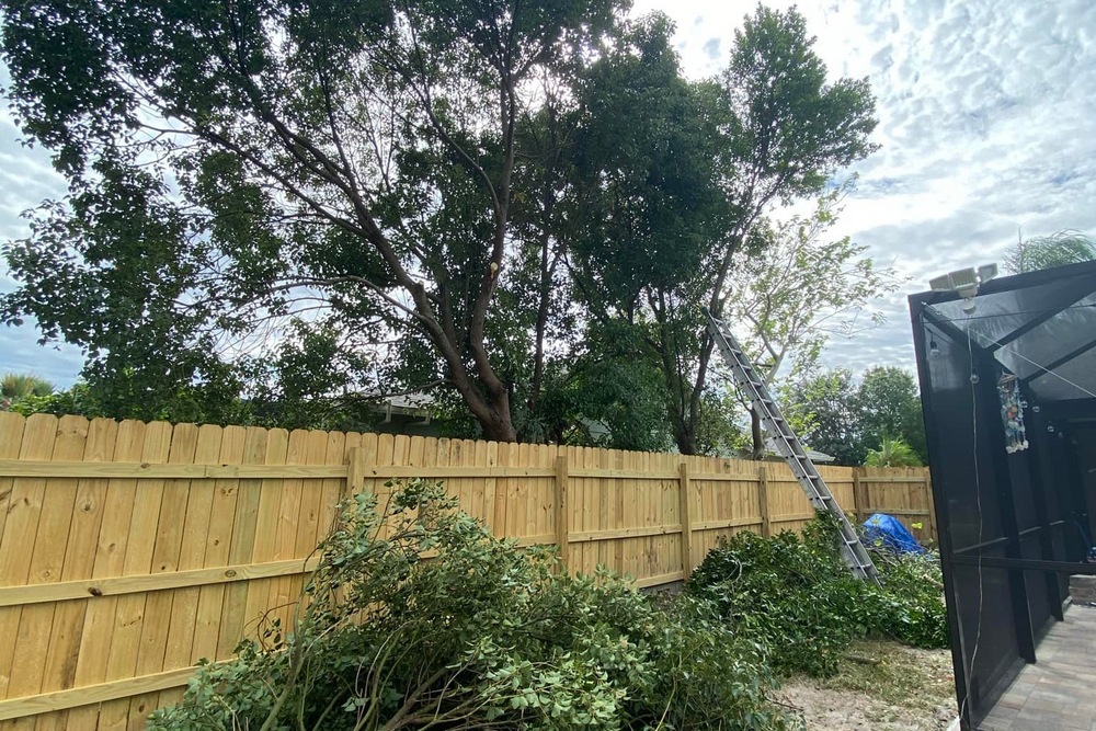 Tree Trimming  for Verimay's Garden and Landscaping in Hillsborough County, FL