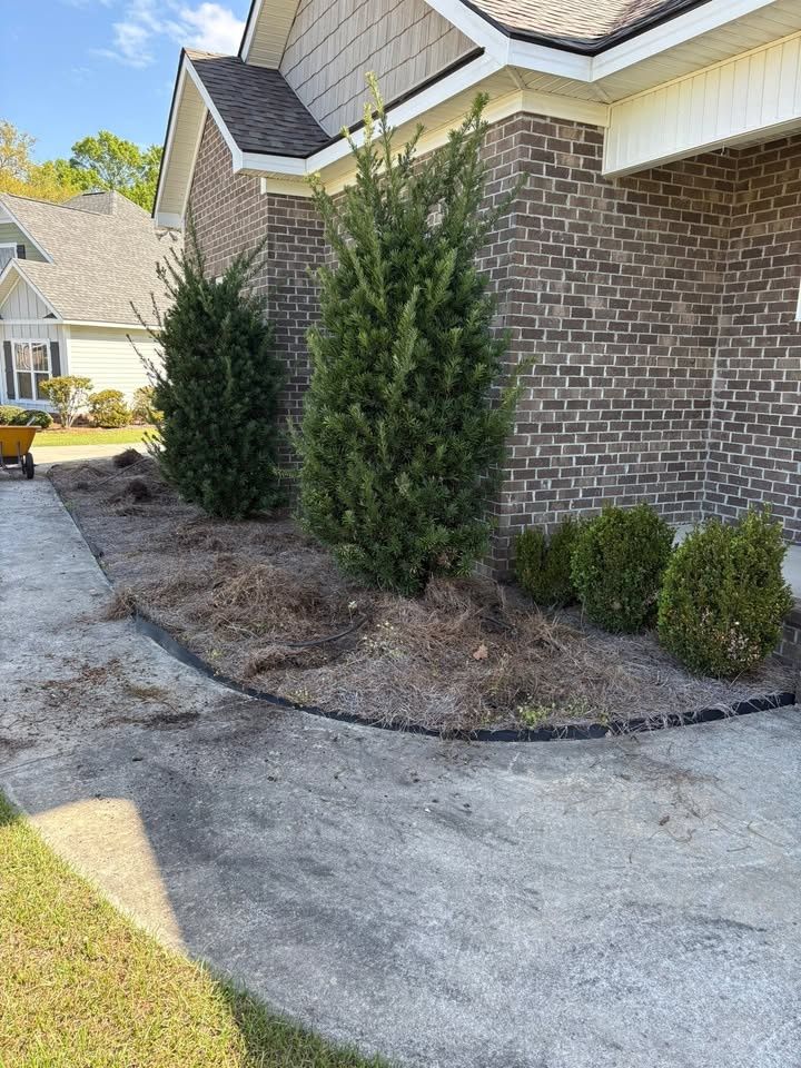 All Photos for Scalco’s Land Services in Statesboro, GA