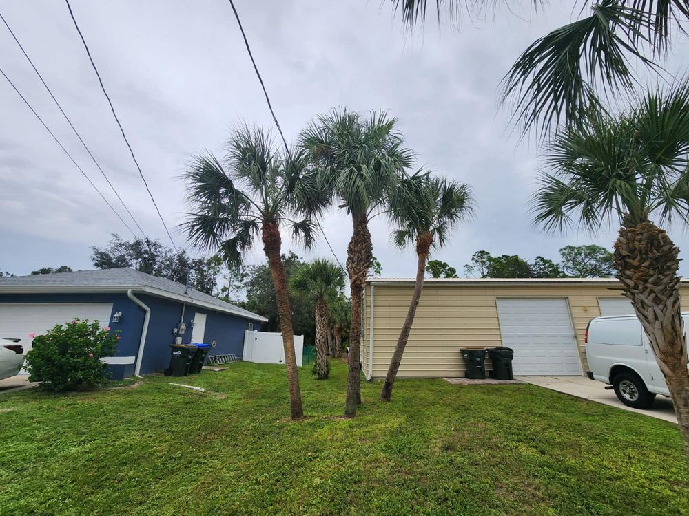 All Photos for Nick of Time Tree Service in North Port, FL