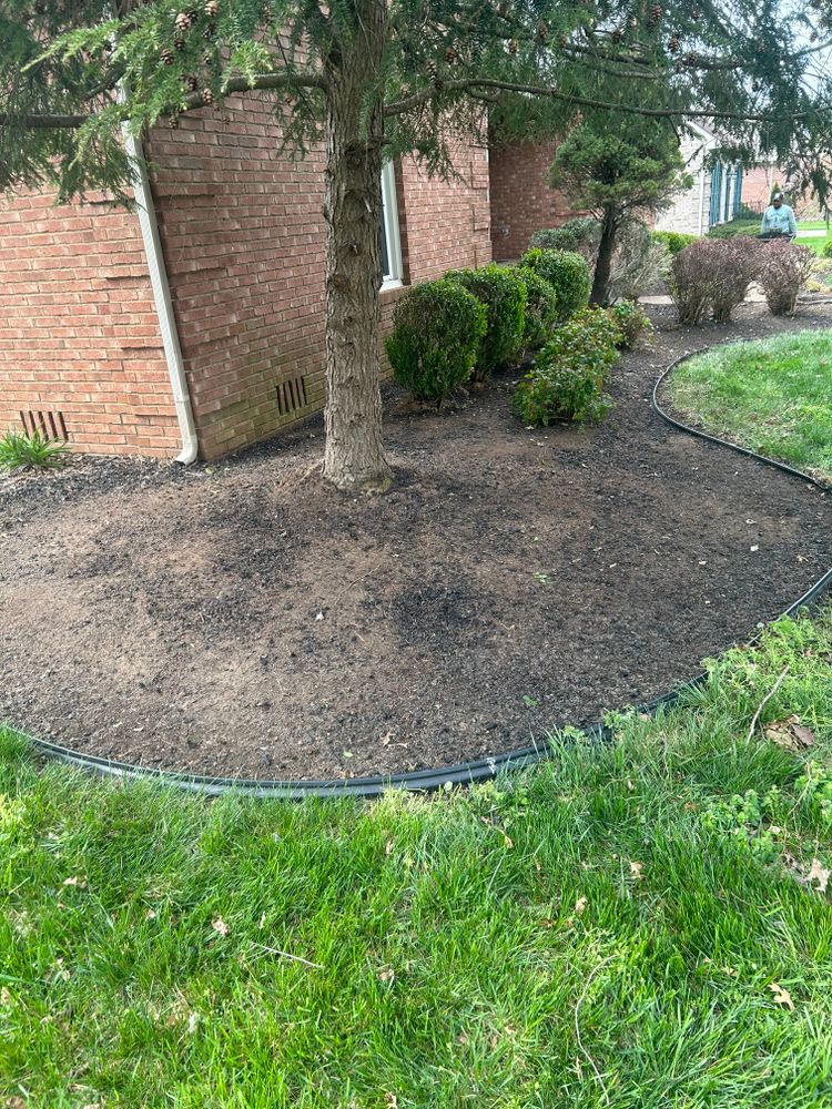 All Photos for Optimum Tree Service And Landscaping in Bowling Green, KY