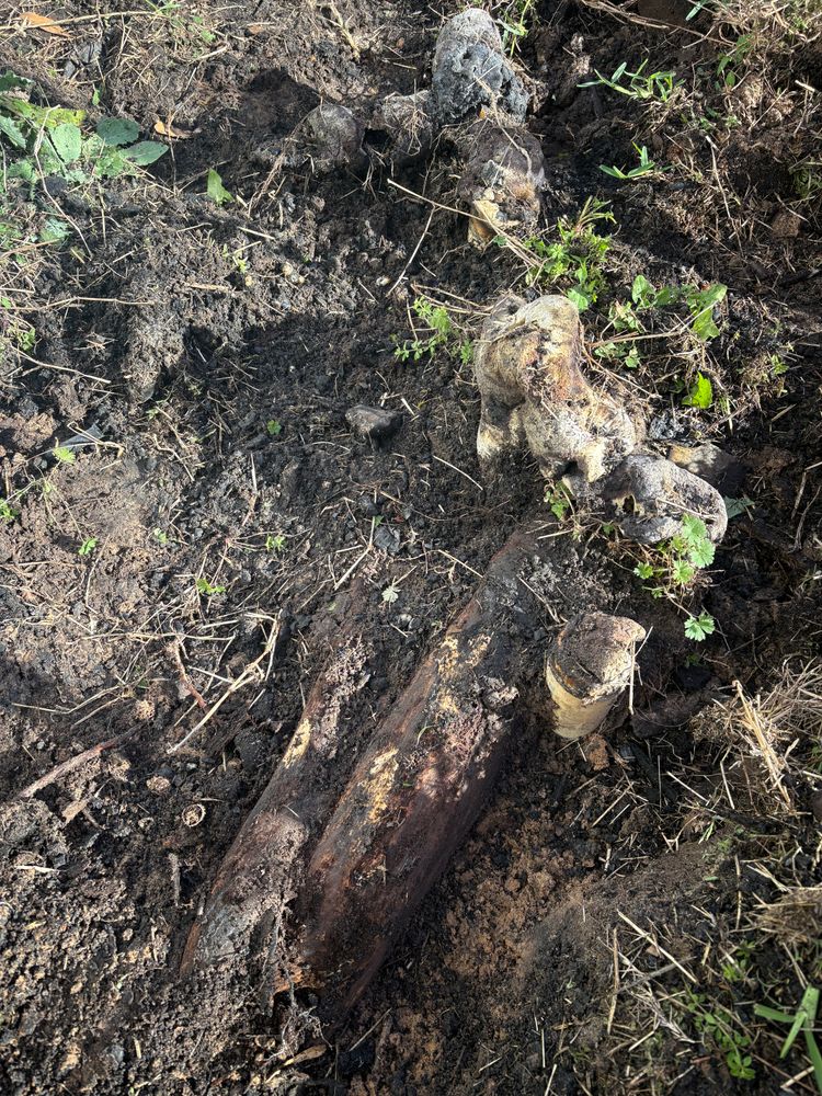 All Photos for Nxt Gen Pool Service in Sealy, TX