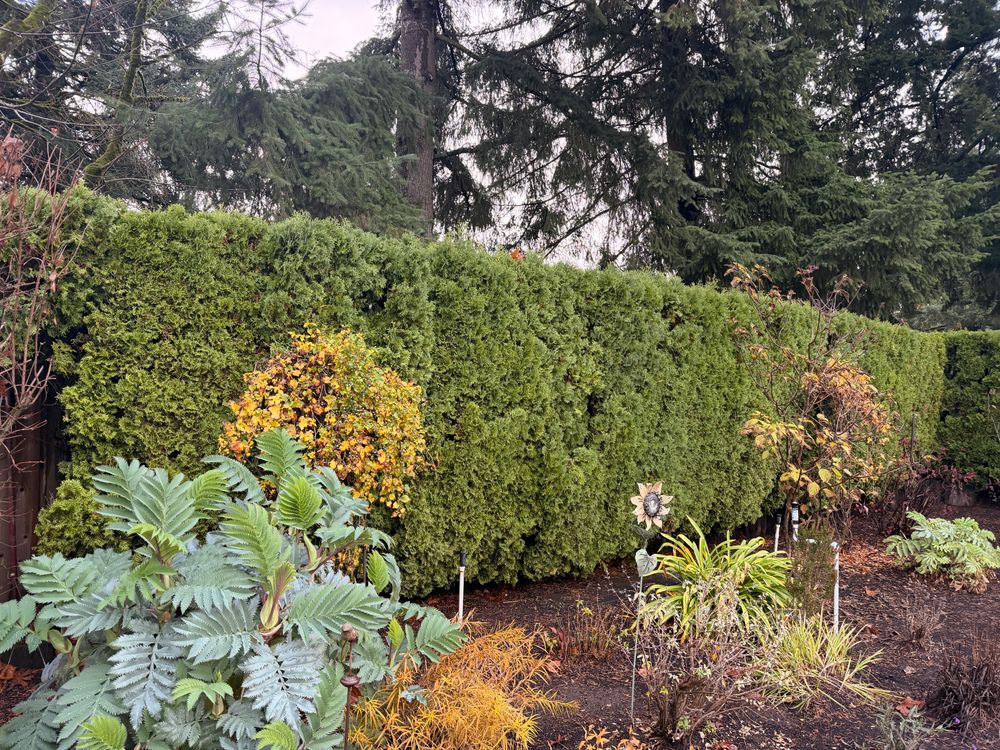 All Photos for Churape And Son's Landscaping in Vancouver, WA