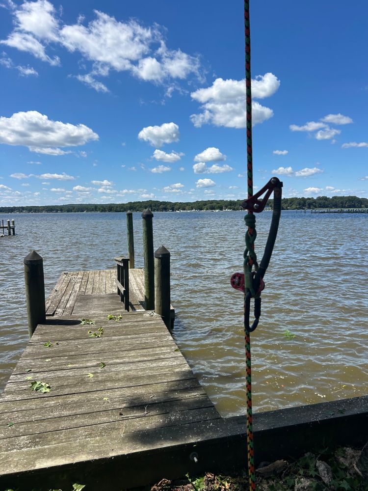 All Photos for Hingewood Tree Service in Salem, NJ