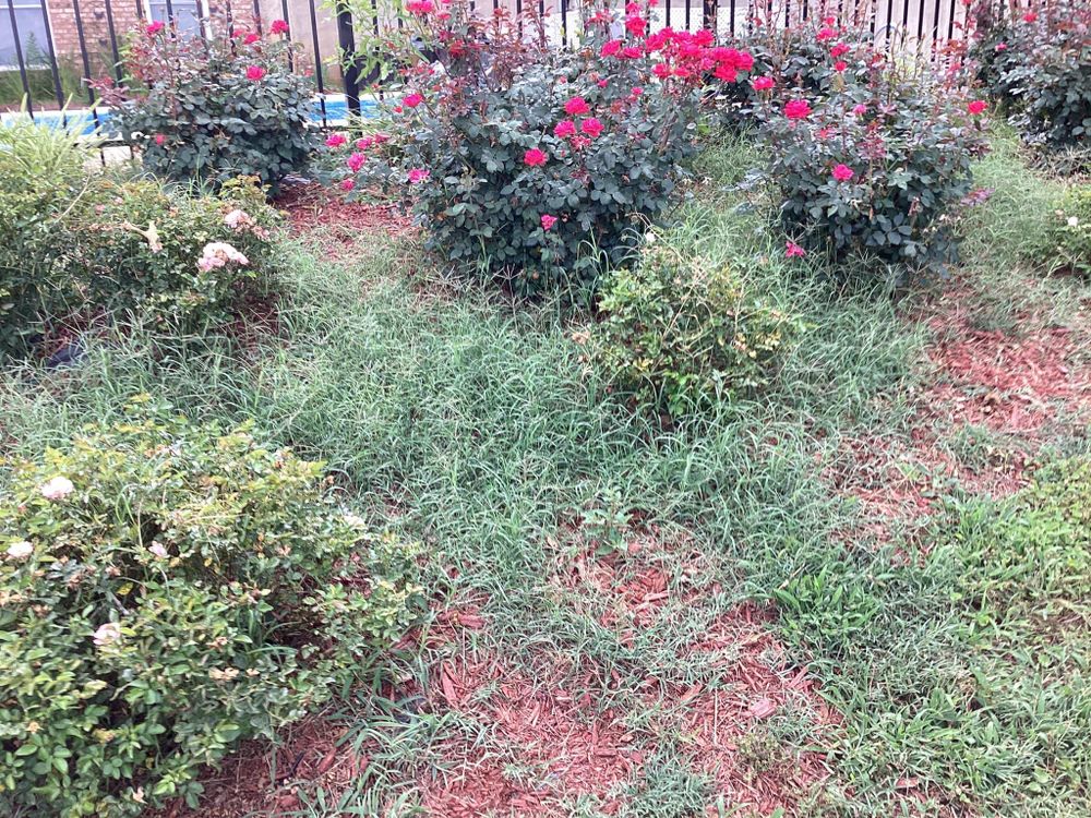 All Photos for Xtreme Landscaping & Lawn Care in Lincoln, AL