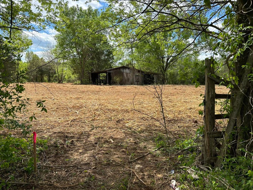 Land Clearing for TriStar Land Clearing & Mulching in  Nashville, TN