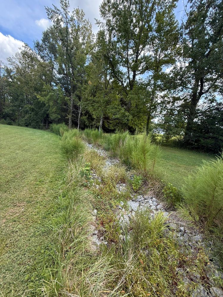 All Photos for Healthy Roots Landscaping in Apex, NC