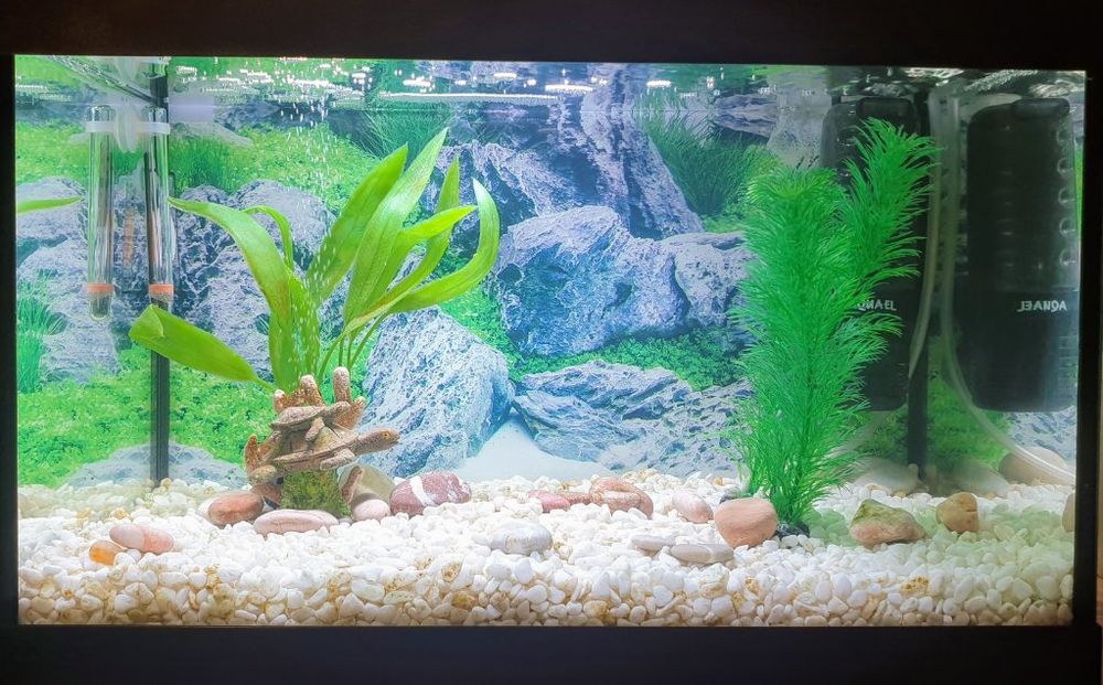 We provide expert tank installation and repair services for homeowners, ensuring efficient and reliable systems. Trust us to handle all of your piping needs with professionalism and expertise. for Godsey Fish Emporium in , 