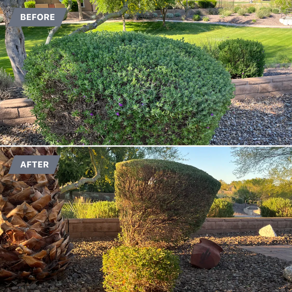 All Photos for Grand Canyon State Landscape Inc. in Surprise, AZ