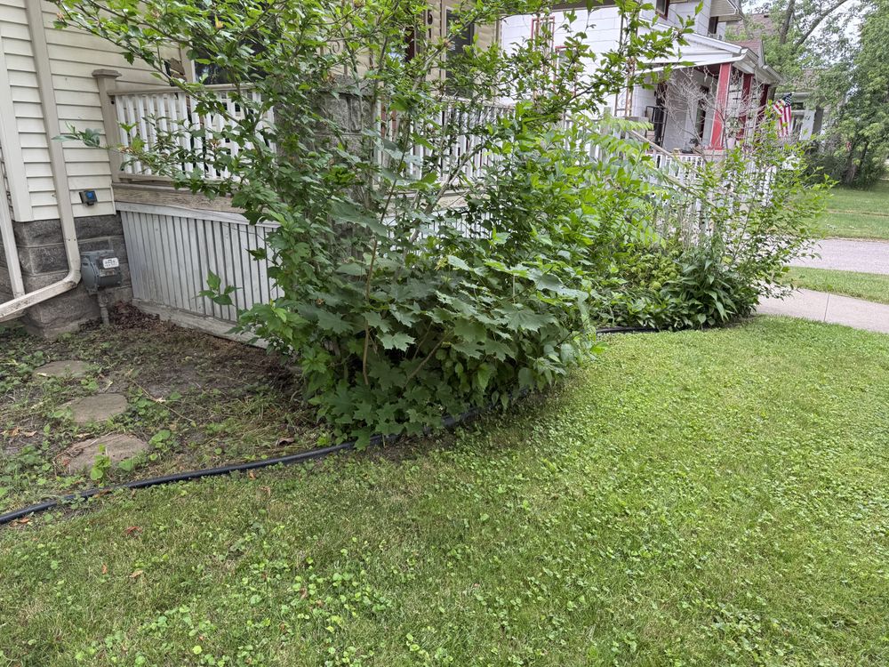 Landscaping Lawn Care for Daugherty's Tough Lawn Care in Essexville, MI