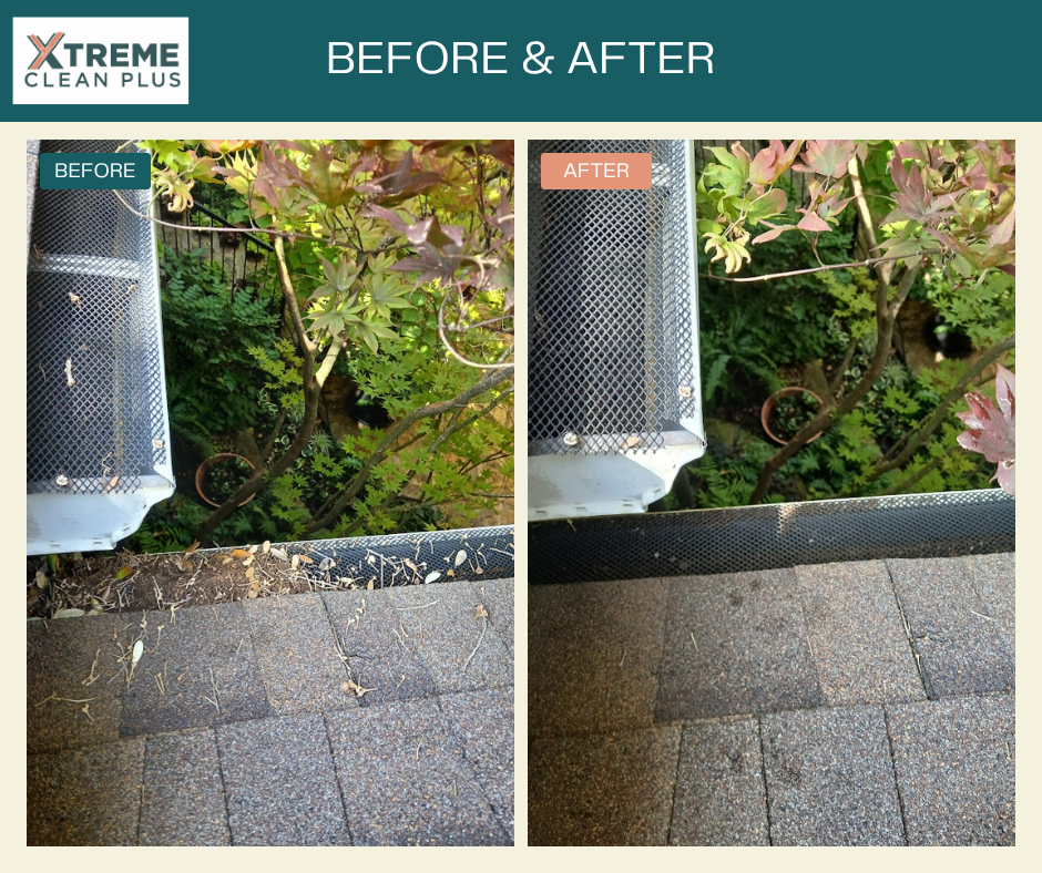All Photos for Xtreme Clean Plus in Fredericksburg, TX