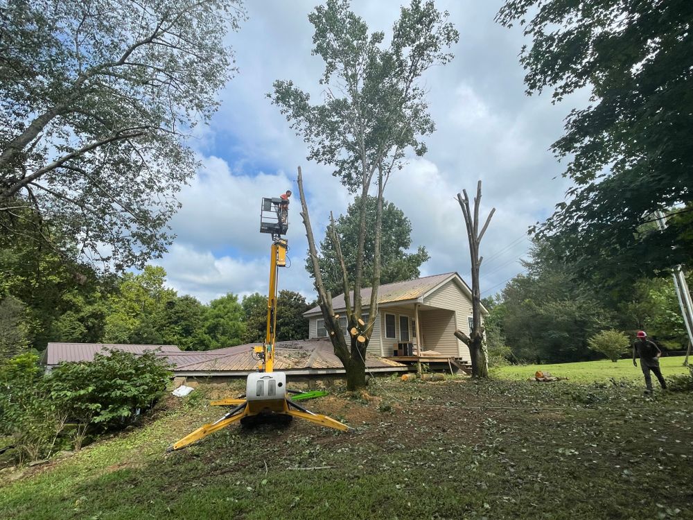 All Photos for Ross Family Tree Service LLC  in Hohenwald, TN
