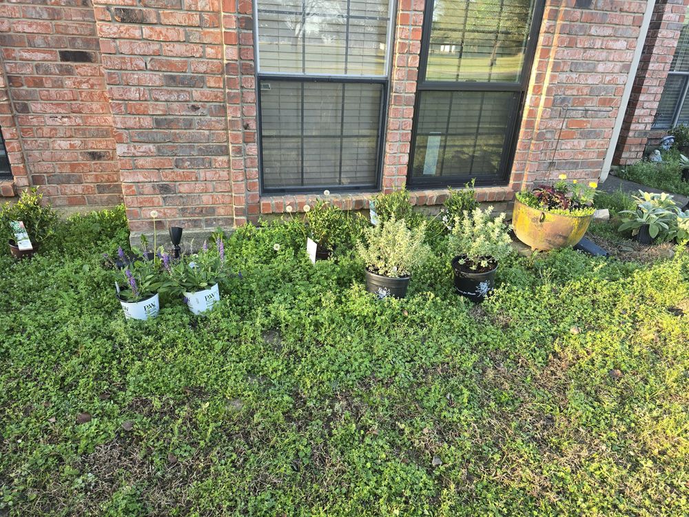 All Photos for Ornelas Lawn Service in Lone Oak, Texas