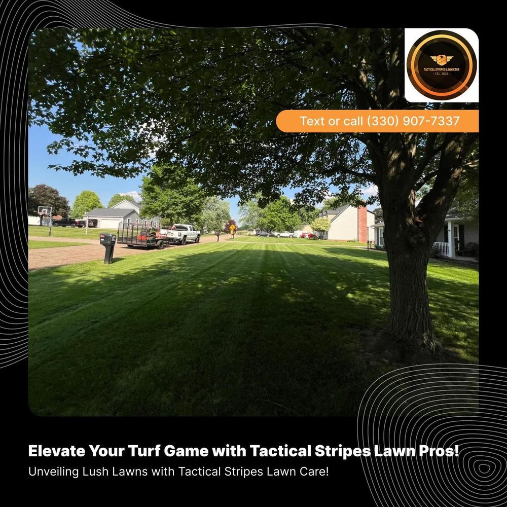 All Photos for Tactical Stripes Lawn care in Uniontown, OH