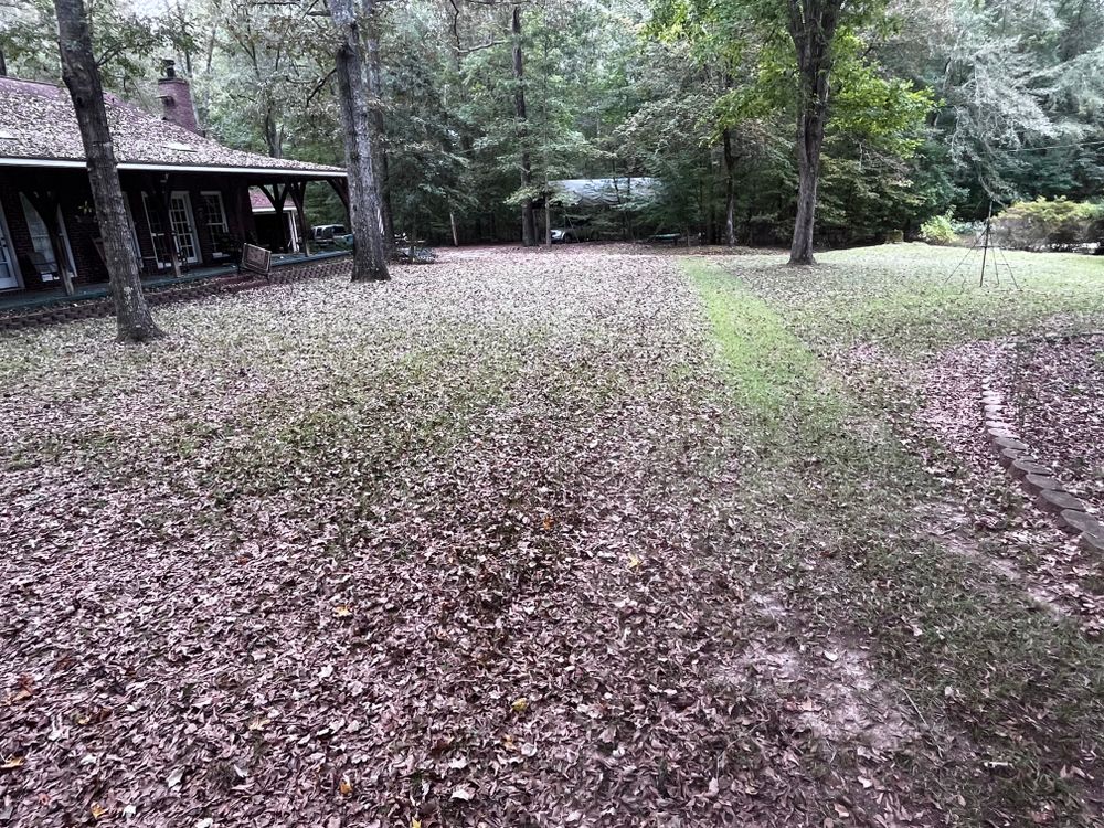 All Photos for Southern Outdoors Landscaping in Covington, GA