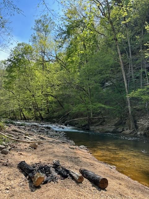All Photos for Z's Land Management & Forestry Mulching in Smithville, TN
