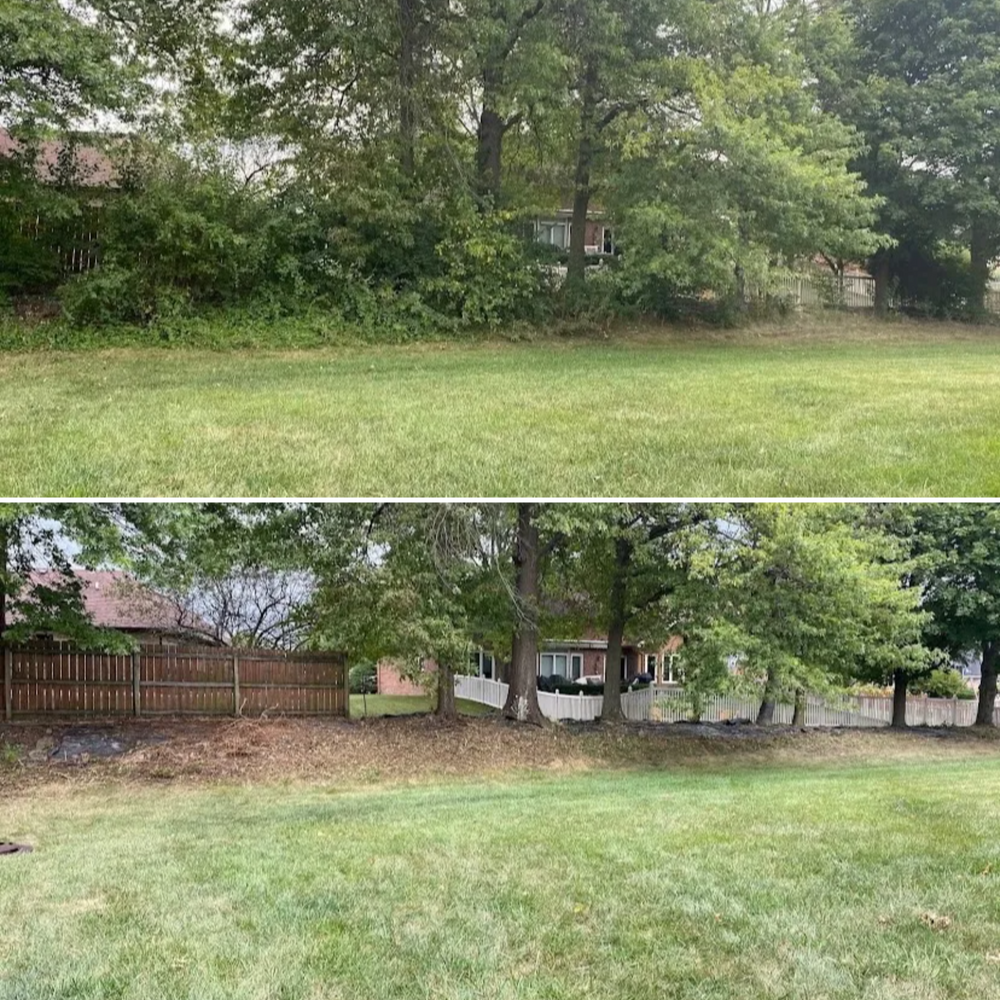 All Photos for Bearforce Lawn Care LLC in Greenfield, IN