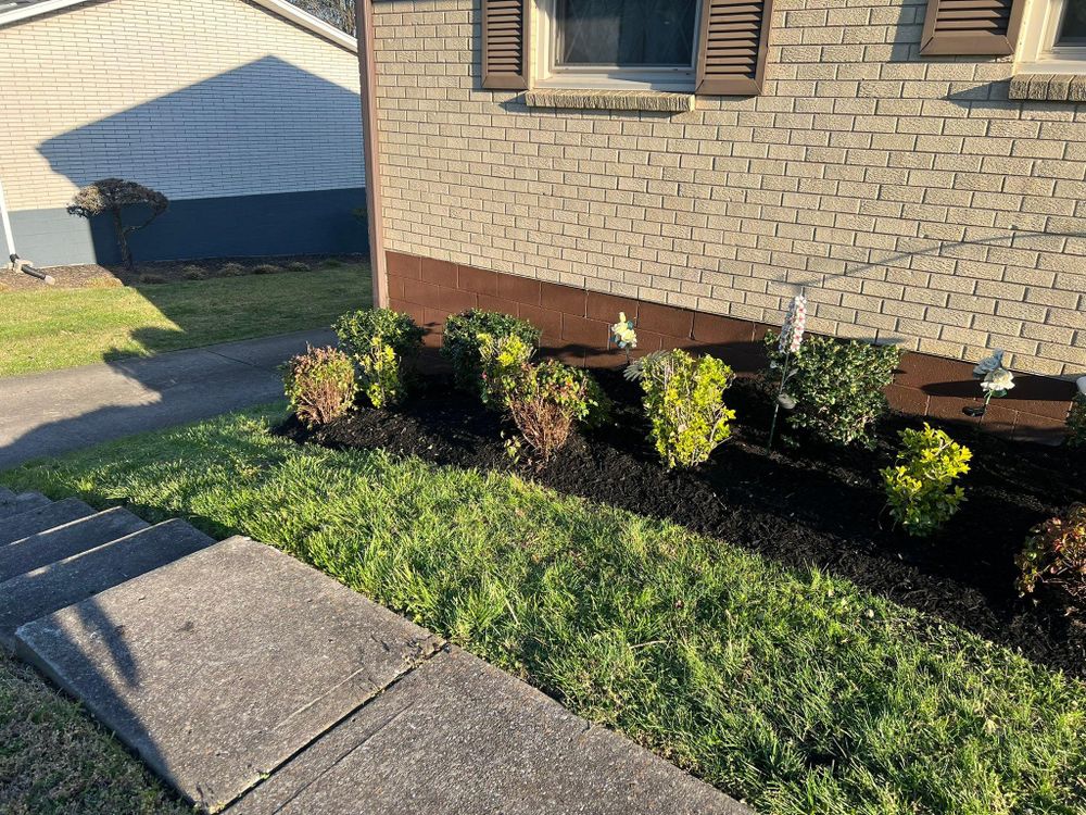 All Photos for Grass Management in Nashville, TN