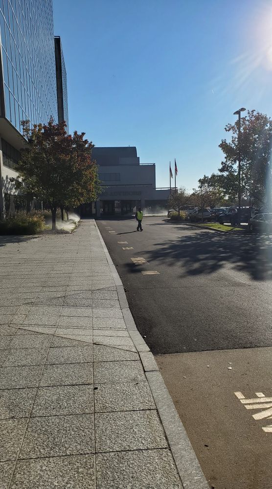 landscaping for Contemporary Landscape in St. Louis, MO