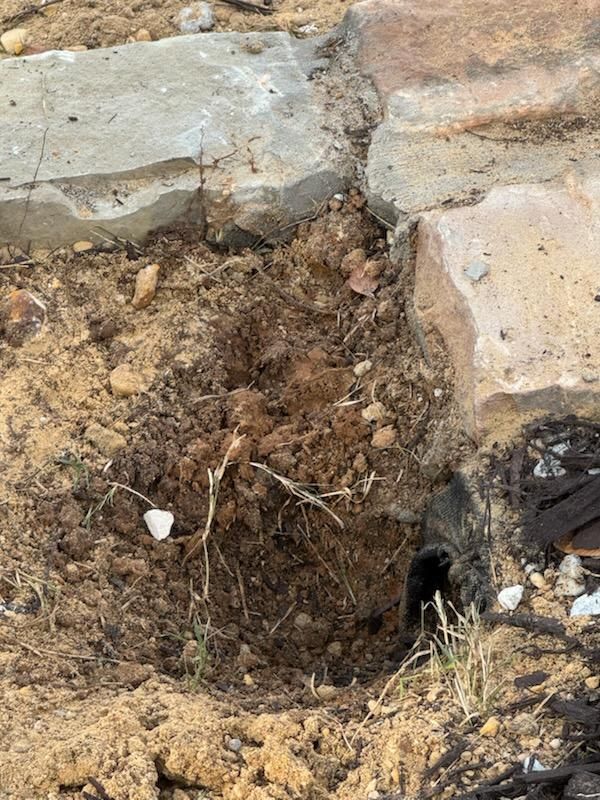 All Photos for Rojas Contractors in Fort Worth, TX