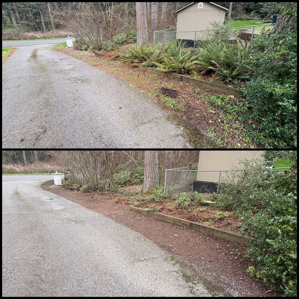 Fall Clean Up for Golovin Property Services LLC in Marysville, WA