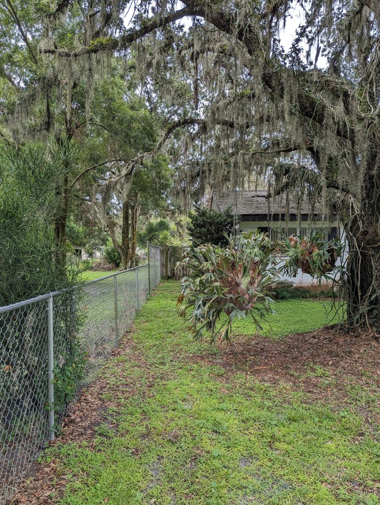 All Photos for Regal Tree Service and Stump Grinding in Wauchula, FL