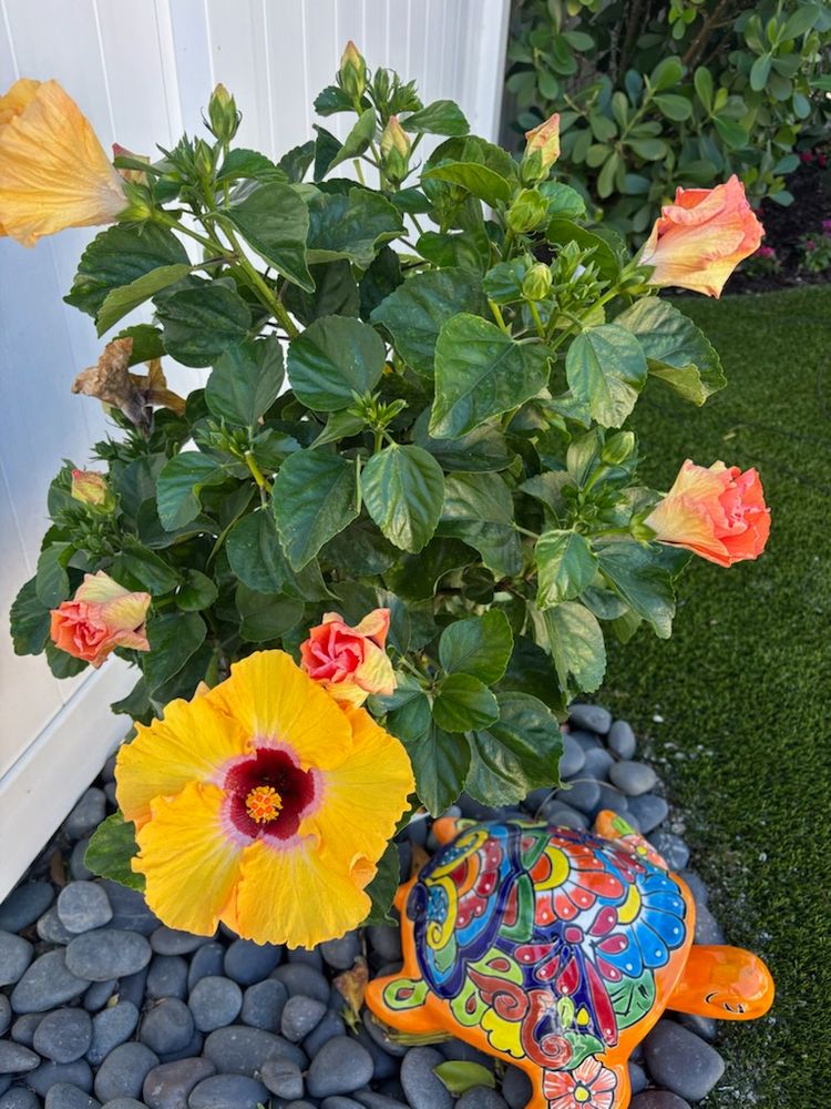 All Photos for Madissons Green in West Palm Beach ,   FL