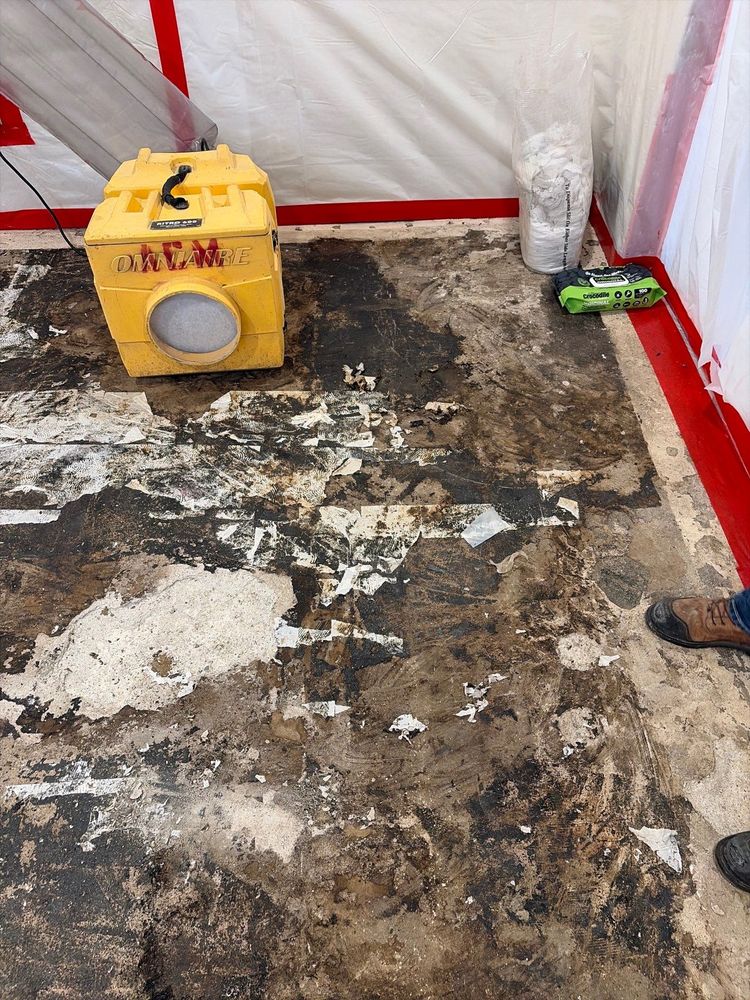 All Photos for ACM Environmental in Salt Lake City, UT