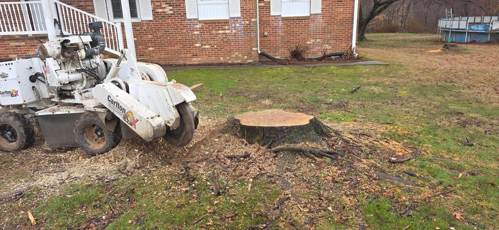 Stump Grinding for Hamlett Tree Service LLC in Clover, VA