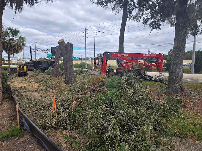 All Photos for Near Me Tree Service, Inc. in DeLand, FL