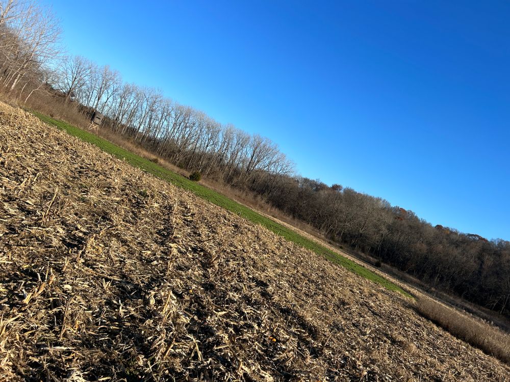 All Photos for Two Young Bucks in Leon, IA