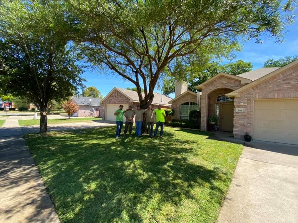 Tree Service for The S&L Good Fellas LLC in Irving, TX