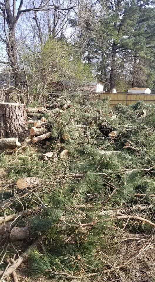 Tree Removal for Action Tree & Debris Removal in Jackson,  MS