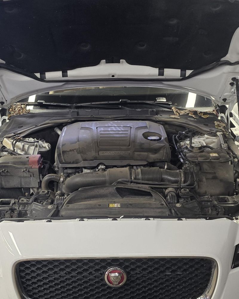 All Photos for Luxury Auto Detail in Peoria, IL