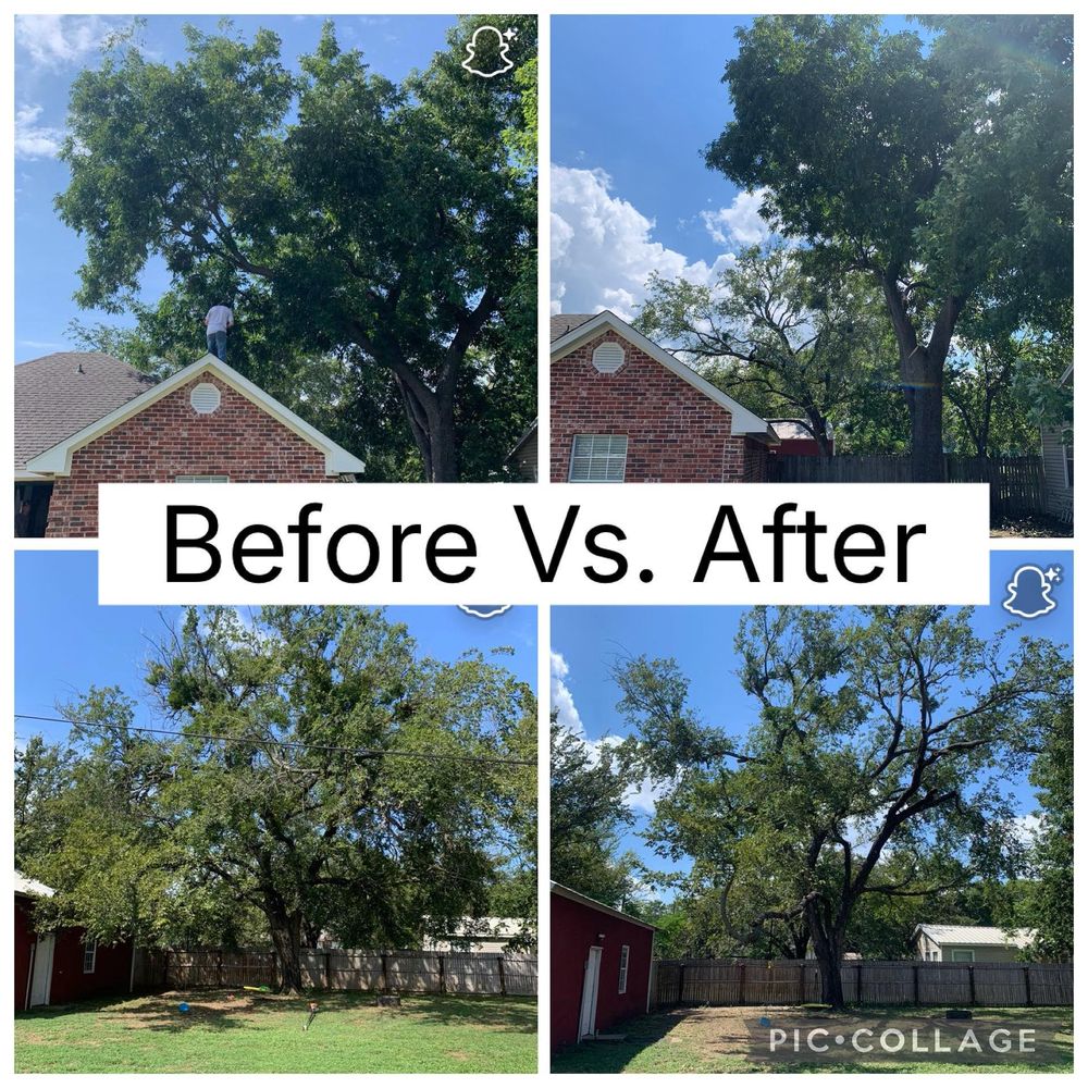 All Photos for Marks Tree Service in Fort Worth, TX