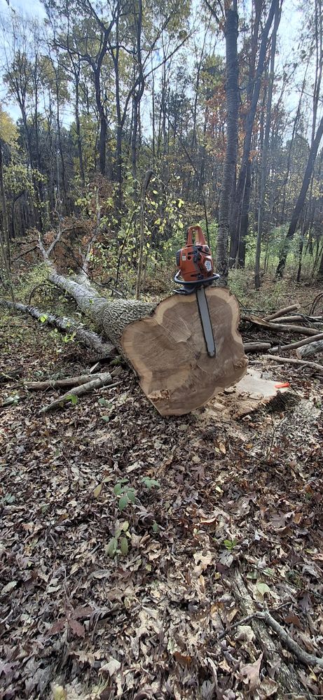 All Photos for God's Country Timber Management in Hillsdale, MI